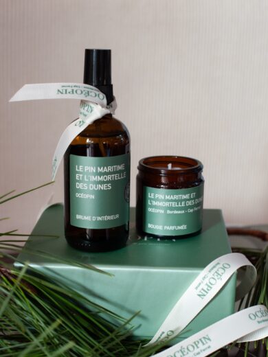 2025-11-OCEOPIN-COFFRET-NOEL-1-5-HD